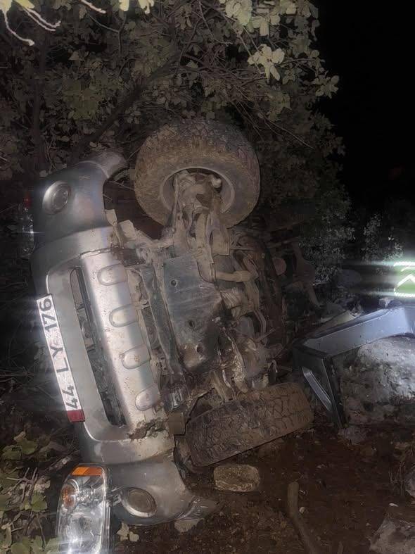 Mardin’de kamyonet şarampole devrildi: 6 yaralı