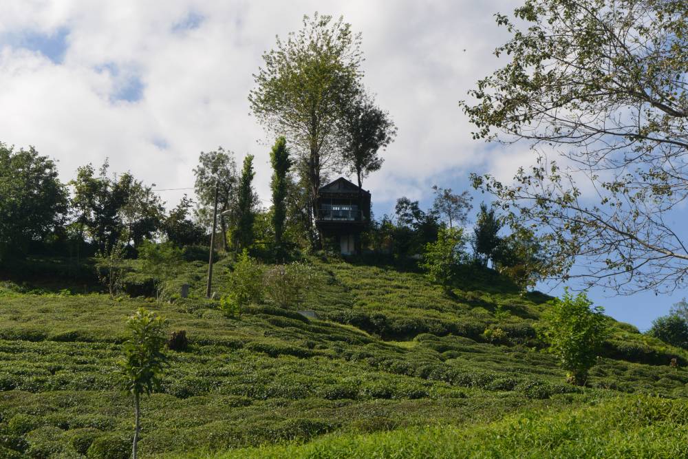 Atık malzemeden manzaralı ağaç ev yaptılar