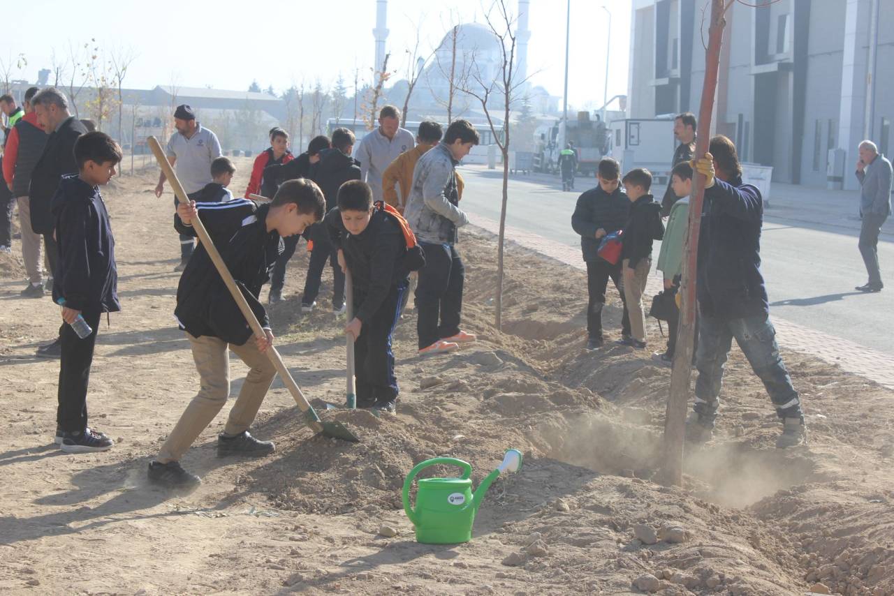 karatayda-fidanlar-toprakla-bulustu-1.jpg