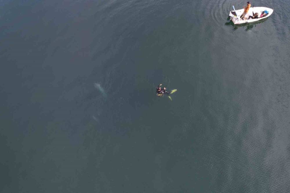 Sapanca Gölü’ndeki endişelendiren kabarcıklar!