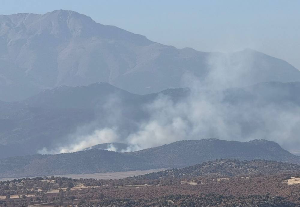 Konya'da sazlıklar alev alev yandı