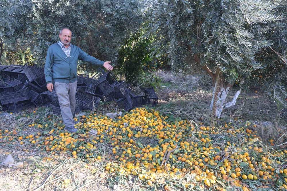 Fiyatı 2 TL’ye düşünce ücretsiz dağıttılar