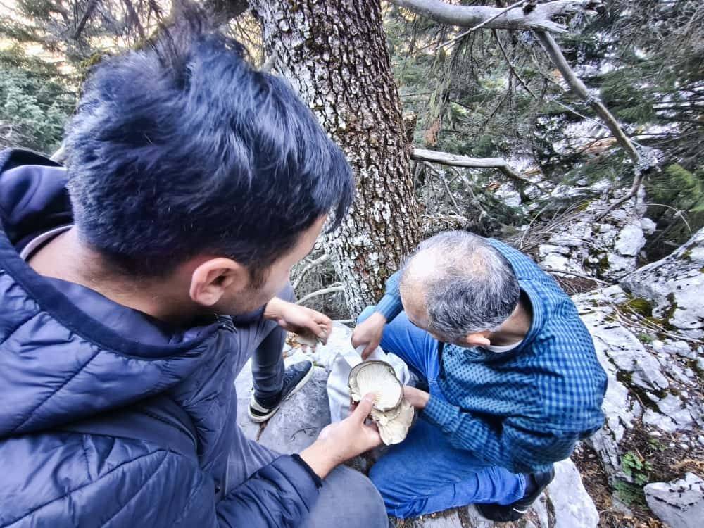 Konya'da bu ormana akın ediyorlar!