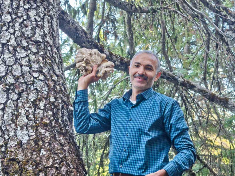 Konya'da bu ormana akın ediyorlar!