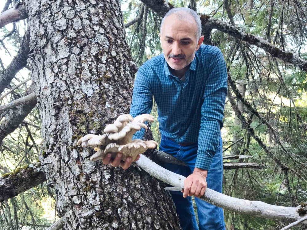 Konya'da bu ormana akın ediyorlar!