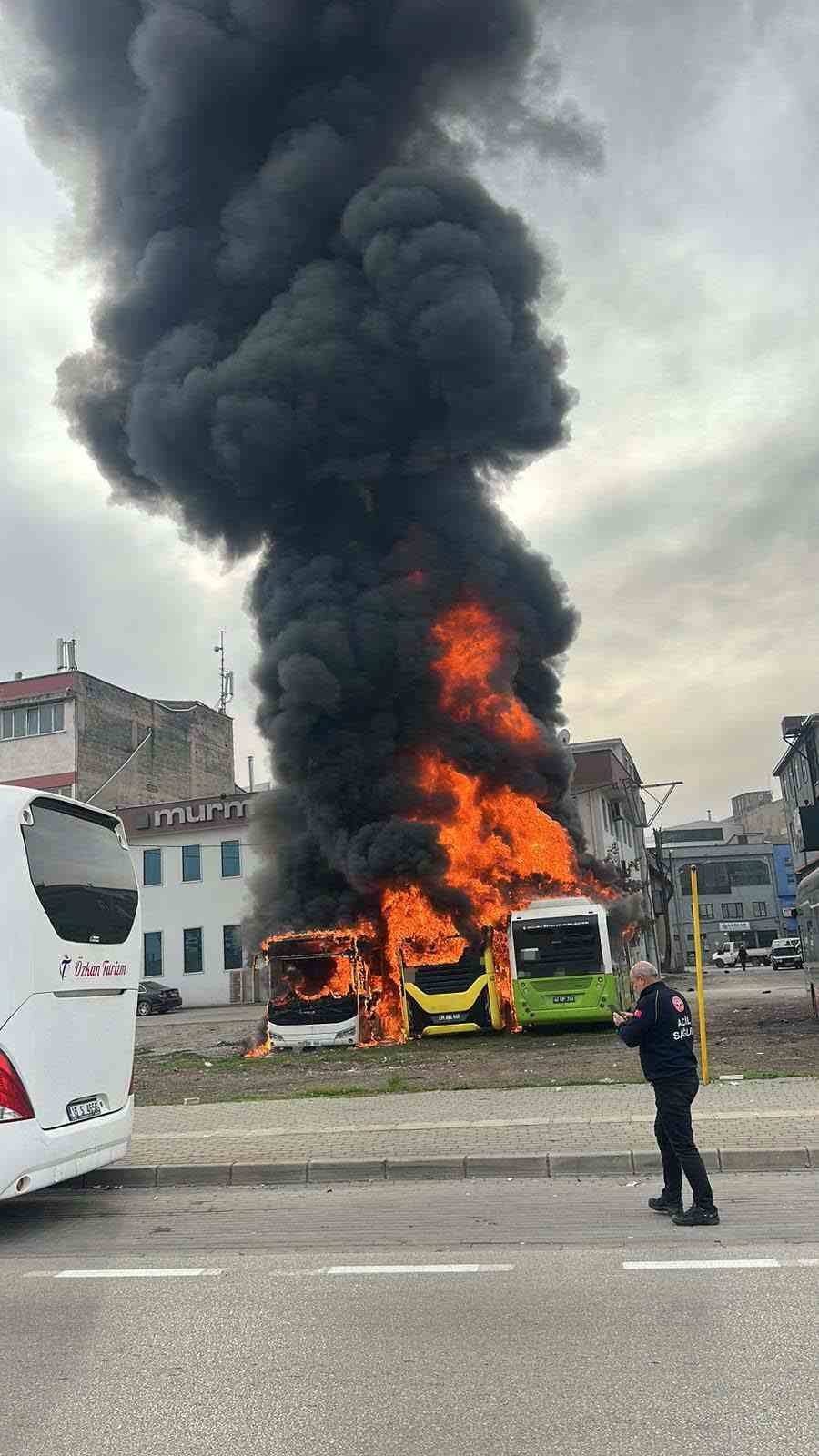 Park halindeki otobüsler cayır cayır yandı