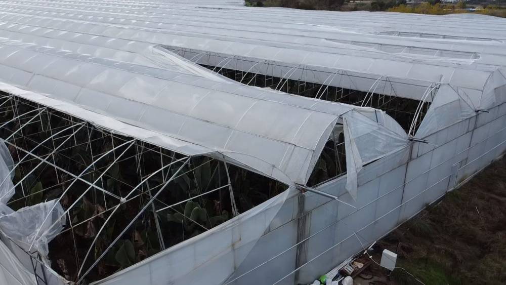 Hortum, seralara zarar verdi