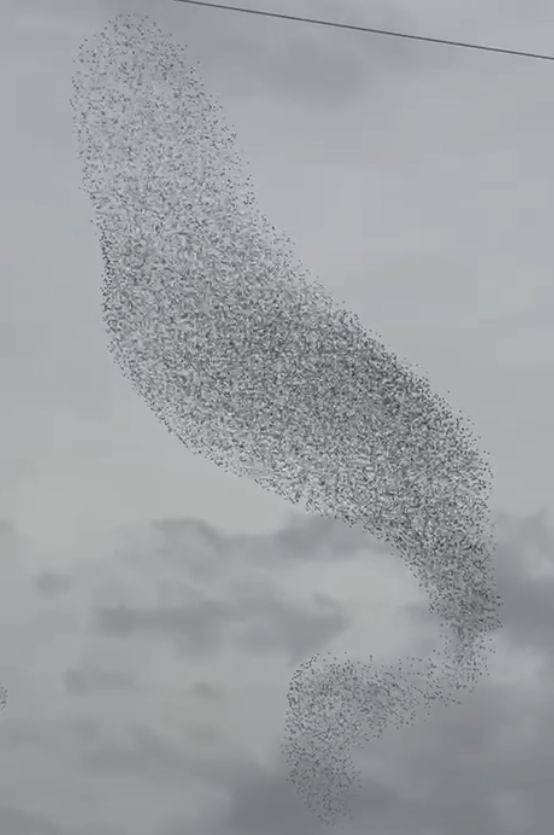Konya'da gökyüzünde görsel şölen! Bakan bir daha baktı