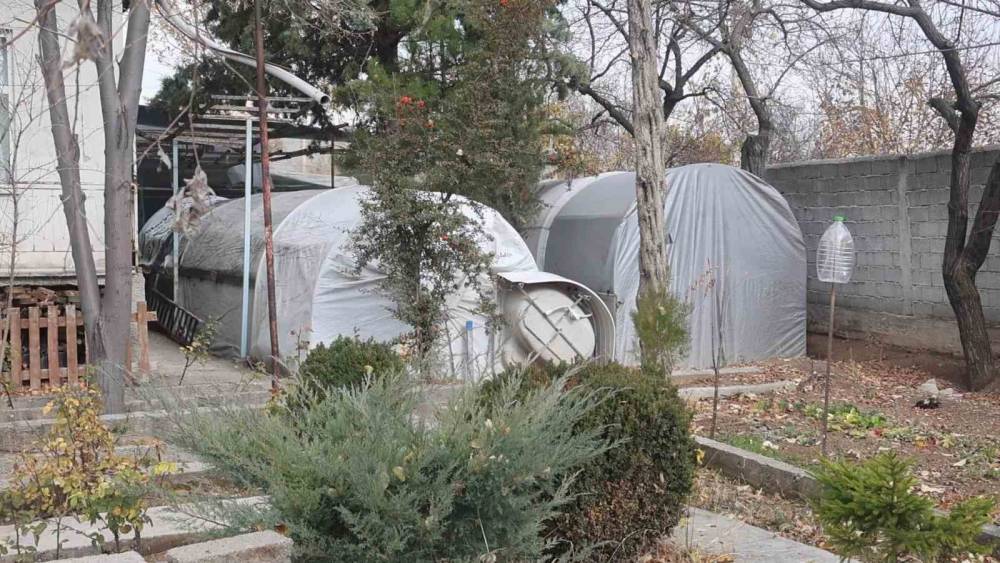 Konya'daki bu serada sebze değil araba yetişiyor!