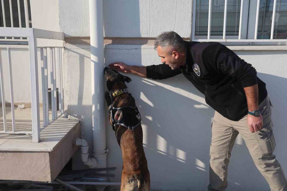 Konya'da ‘Bulamazlar’ dedikleri zulaları burunları ile patlatıyorlar