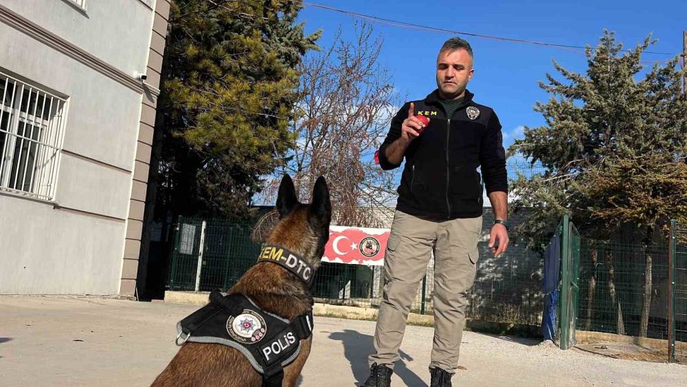 Konya'da ‘Bulamazlar’ dedikleri zulaları burunları ile patlatıyorlar