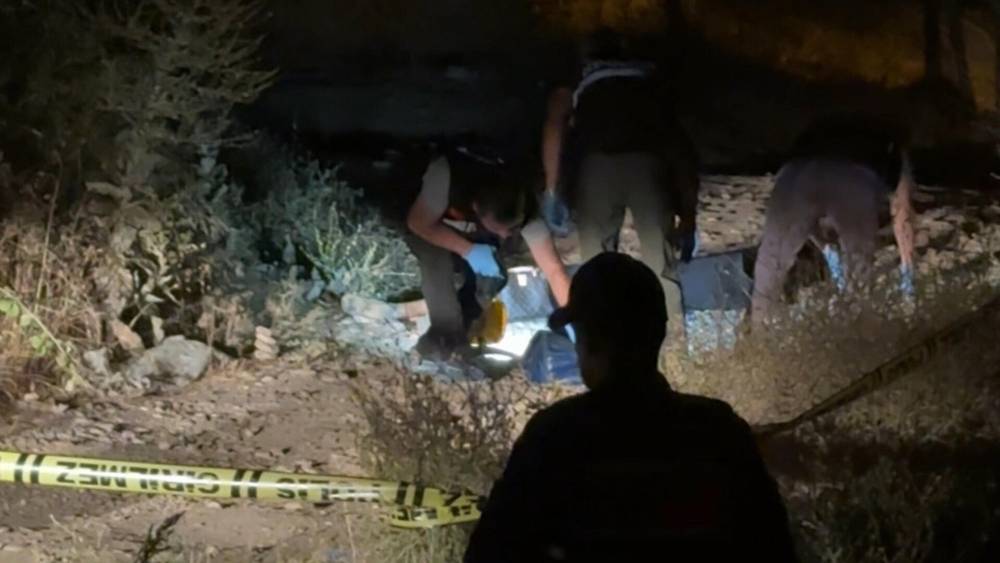 Üniversite öğrencisi Teslime'nin ölümüyle ilgili yeni detaylar ortaya çıktı