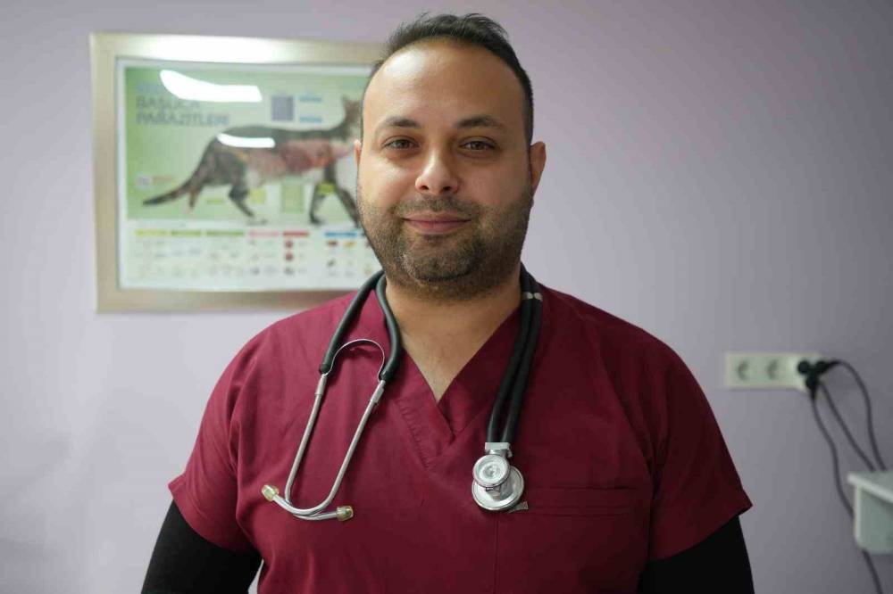 Evcil hayvan sahipleri dikkat! 31 Aralık son gün