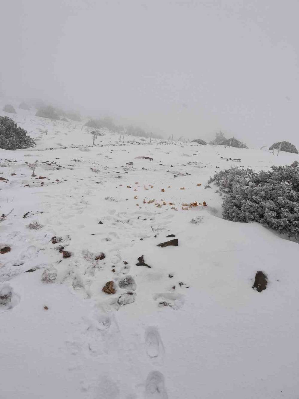 Konya'nın ilçesinde kar sevinci!