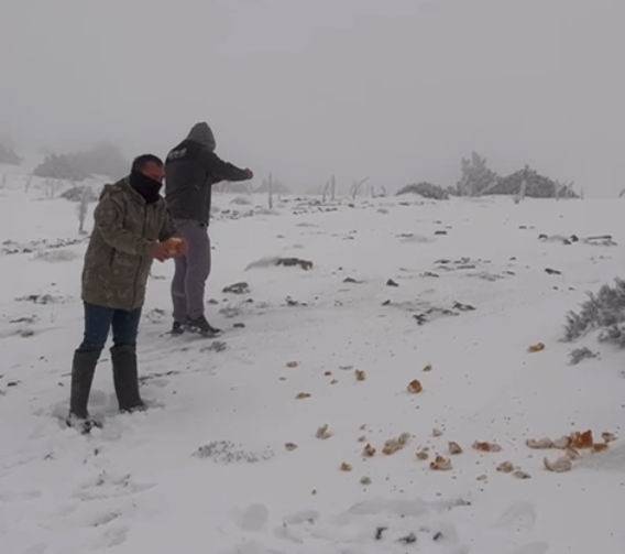 Konya'nın ilçesinde kar sevinci!