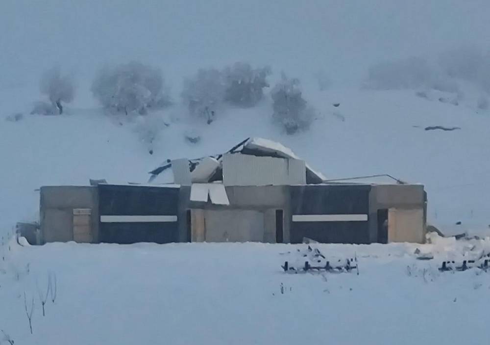 Kar yükü felaketi! 3 ahır çöktü, yüzlerce hayvan telef oldu