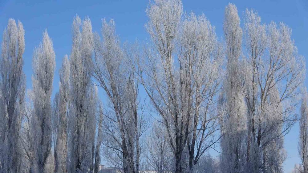 Türkiye'nin en soğuk noktası Göle oldu! Termometreler eksi 39,7 dereceyi gördü