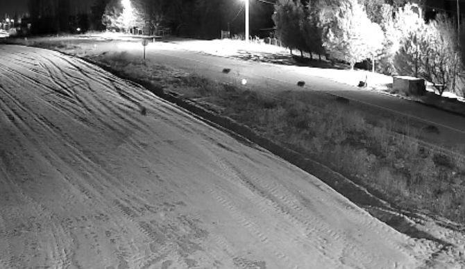 Kurtlar Konya'ya indi!