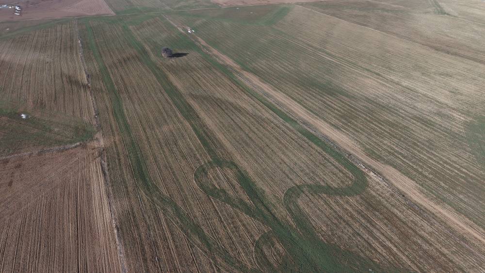 Konya Ovasında çiftçilere beklenen müjde geldi