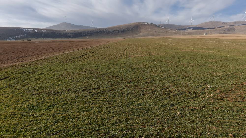 Konya Ovasında çiftçilere beklenen müjde geldi