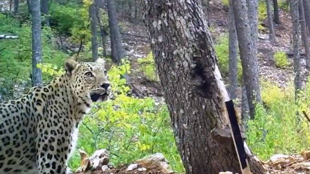 Bunu yapmanın cezası 45 milyon!