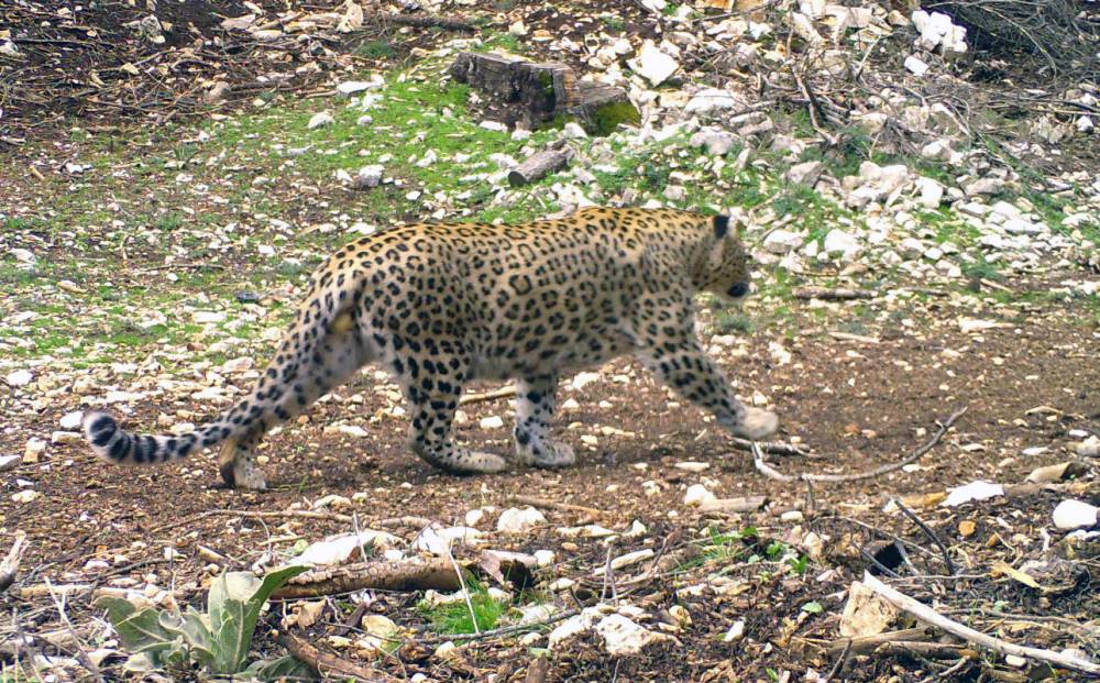 Bunu yapmanın cezası 45 milyon!