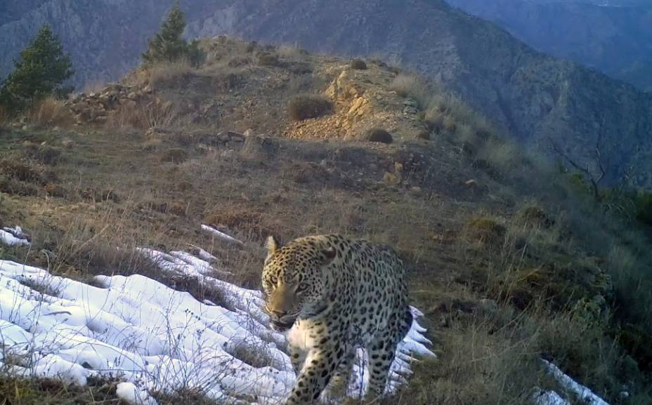 Bunu yapmanın cezası 45 milyon!