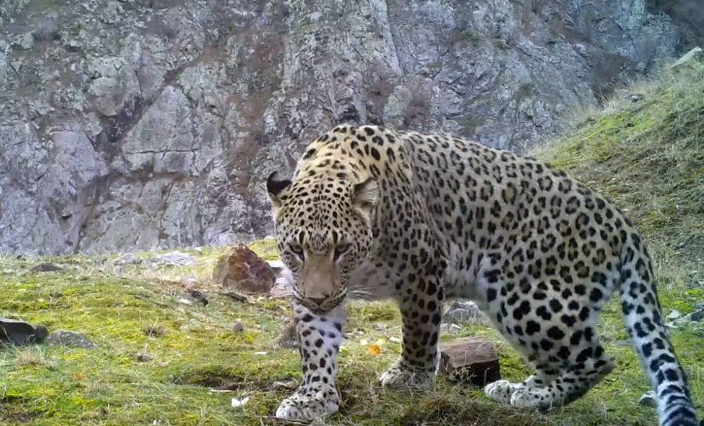 Bunu yapmanın cezası 45 milyon!