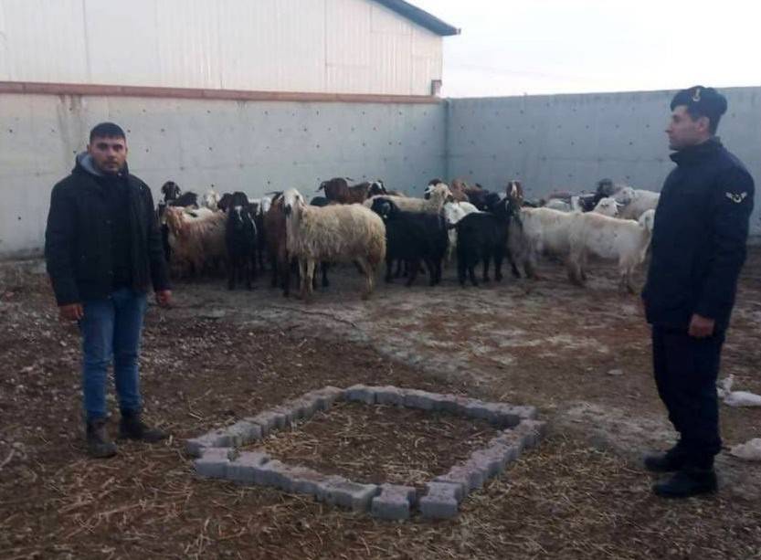 Konya'da küçükbaş hayvan hırsızlığı şüphelisi 7 kişiden üçü tutuklandı