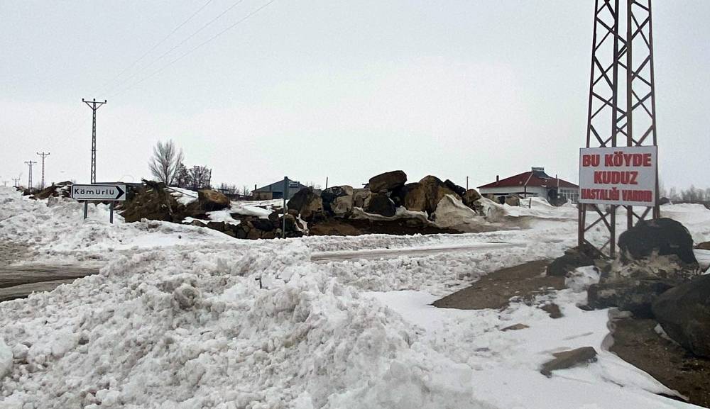 Kuduz vakası tespit edilen köy, karantinada!