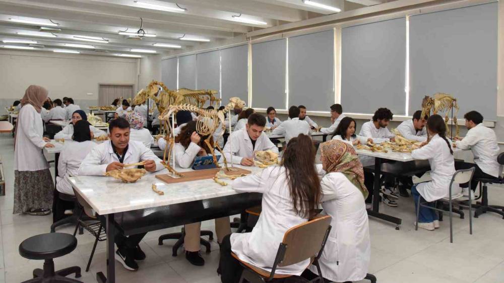 Selçuk Üniversitesi’nin kalite başarısı tescillendi