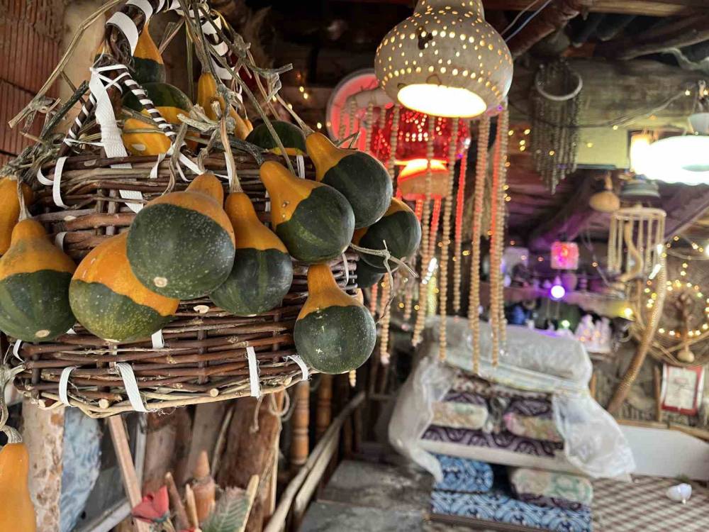 Bahçesini müzeye çevirdi! Konya'da 30 yıllık emek