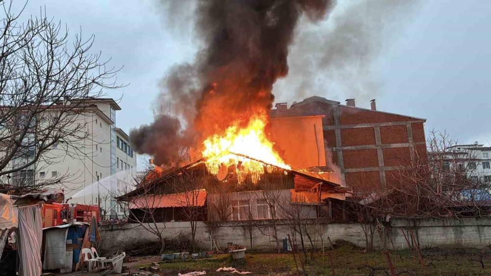 Kediler üşümesin diye yakılan soba faciaya dönüştü