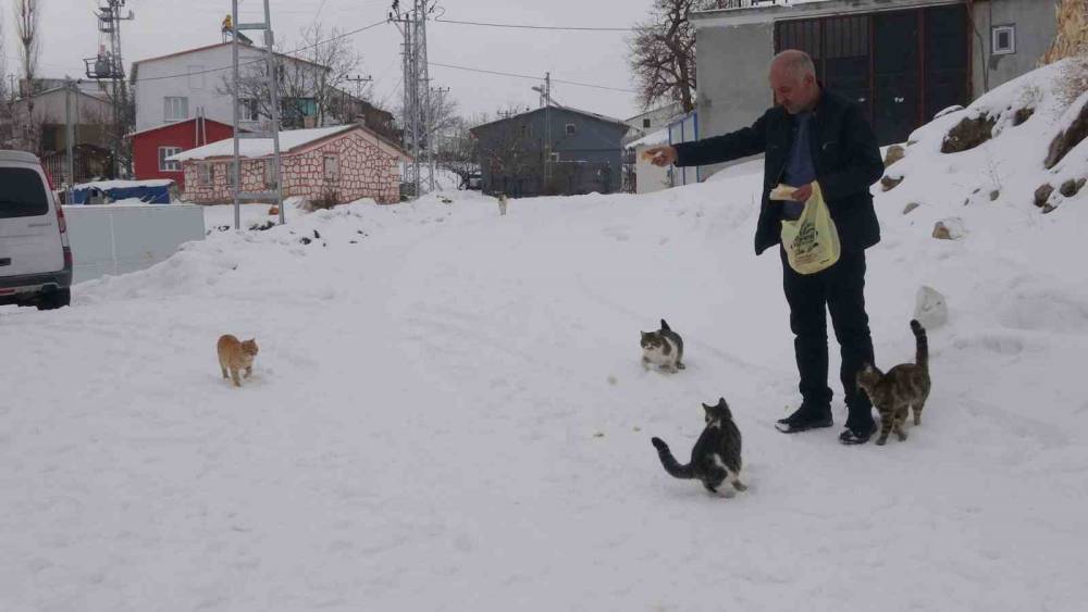 Yazın binlerce kişi, kışın sadece dört nüfus