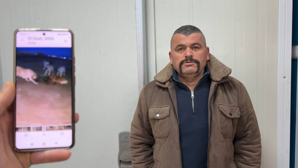 Konya'da bir vatandaş, 80 kiloluk yaban domuzunu elleriyle yakaladı