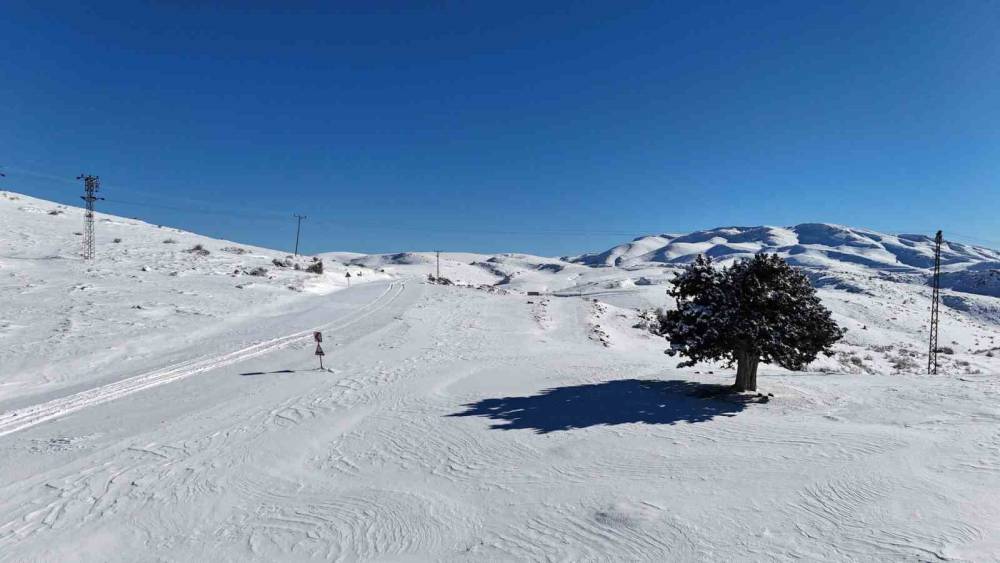 Toroslarda beyaz bereket! Hadim kirazı kara doydu