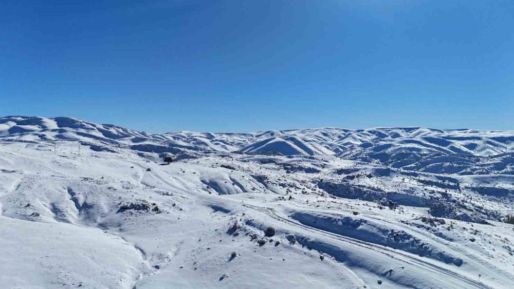 Toroslarda beyaz bereket! Hadim kirazı kara doydu