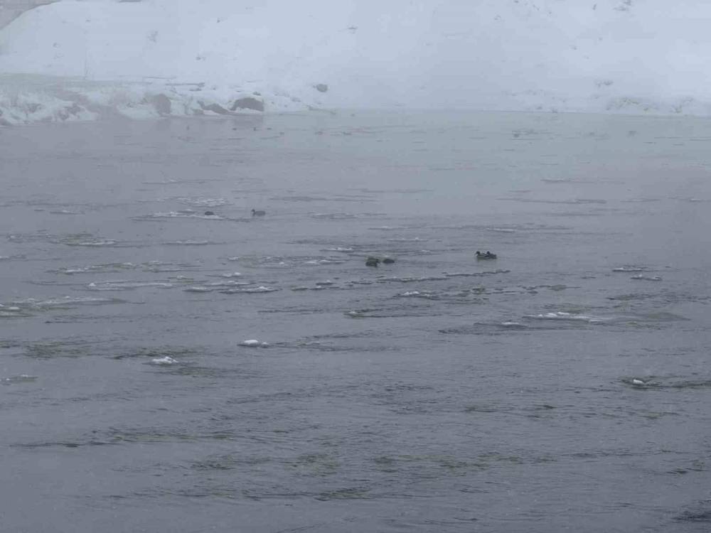 Yakutistan değil Sivas: Şehirde hayat dondu