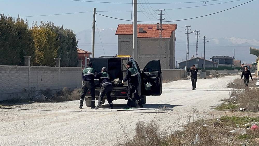 Konya'da Rana'nın ölümü davasında flaş gelişme! İki belediye görevlisine soruşturma izni