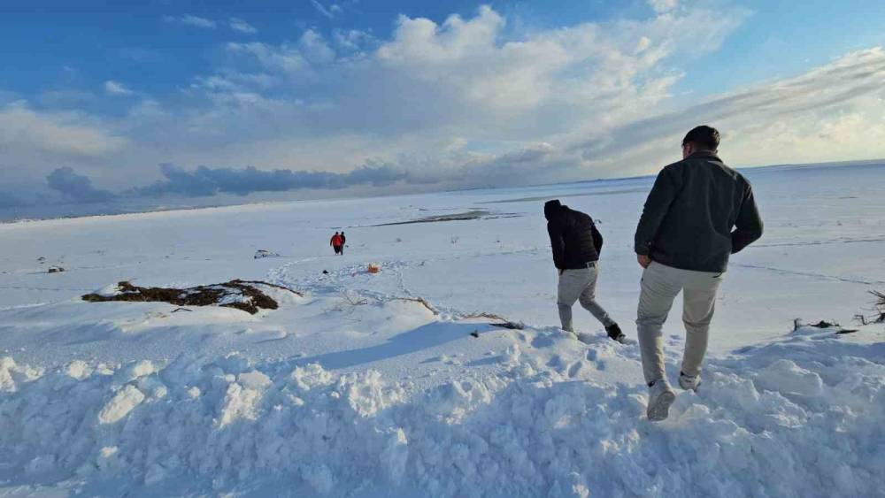 ‘Kuş cenneti’ tamamen dondu