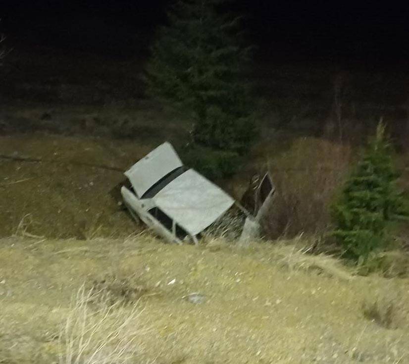 Konya'da yola çıkan domuz can aldı