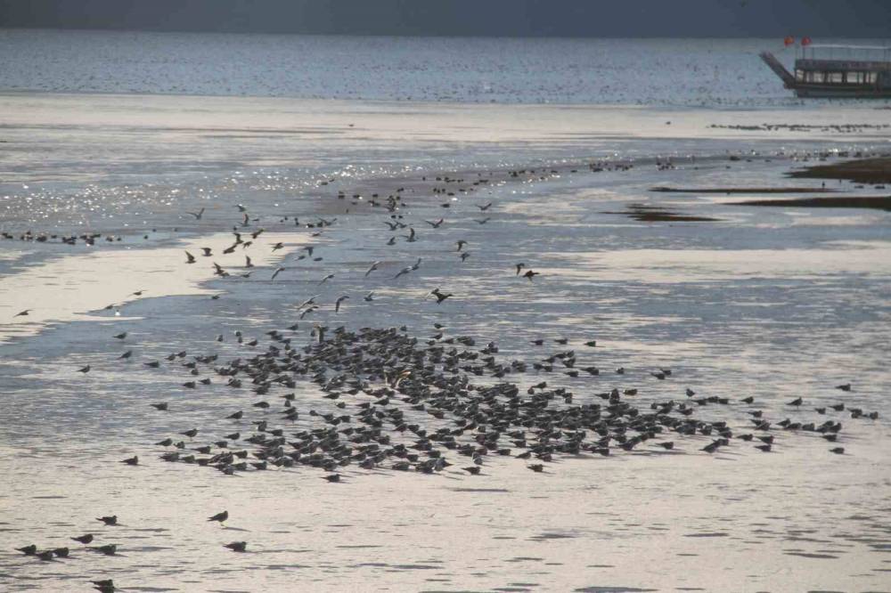 Beyşehir Gölü’nde balıkçıların buzla imtihanı