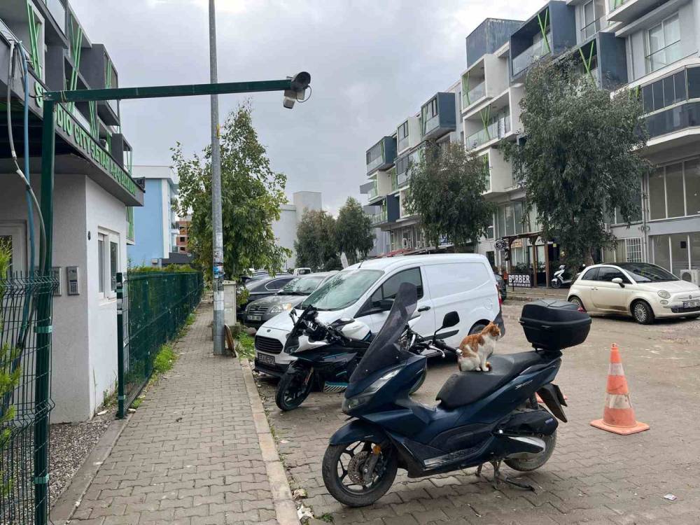 Saplantılısı, genç kızın sonu oldu! Kan donduran cinayet