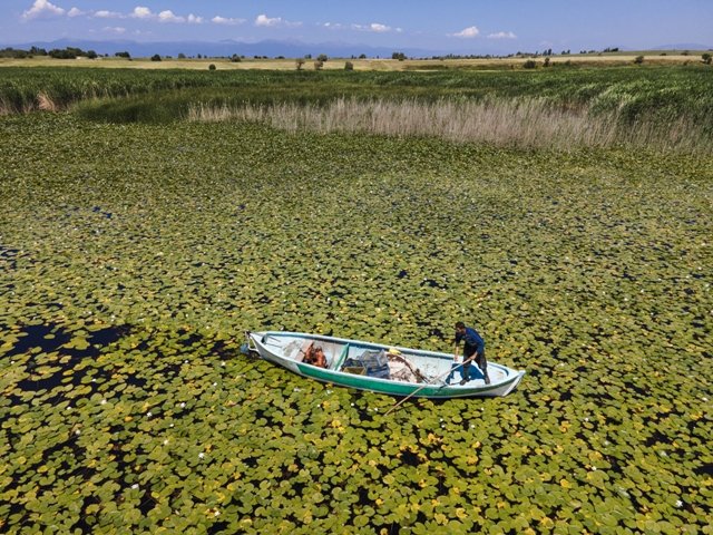 aa-20220627-28267938-28267929-beysehir-golundeki-niluferler-bolgenin-cazibesini-artirdi.jpg