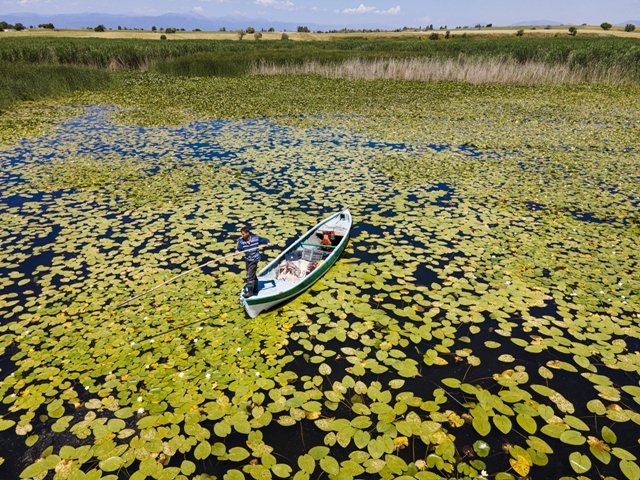 aa-20220627-28267938-28267933-beysehir-golundeki-niluferler-bolgenin-cazibesini-artirdi.jpg