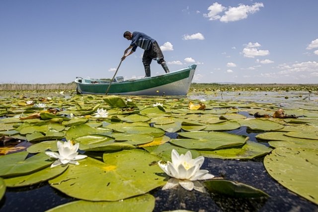 aa-20220627-28267938-28267934-beysehir-golundeki-niluferler-bolgenin-cazibesini-artirdi.jpg