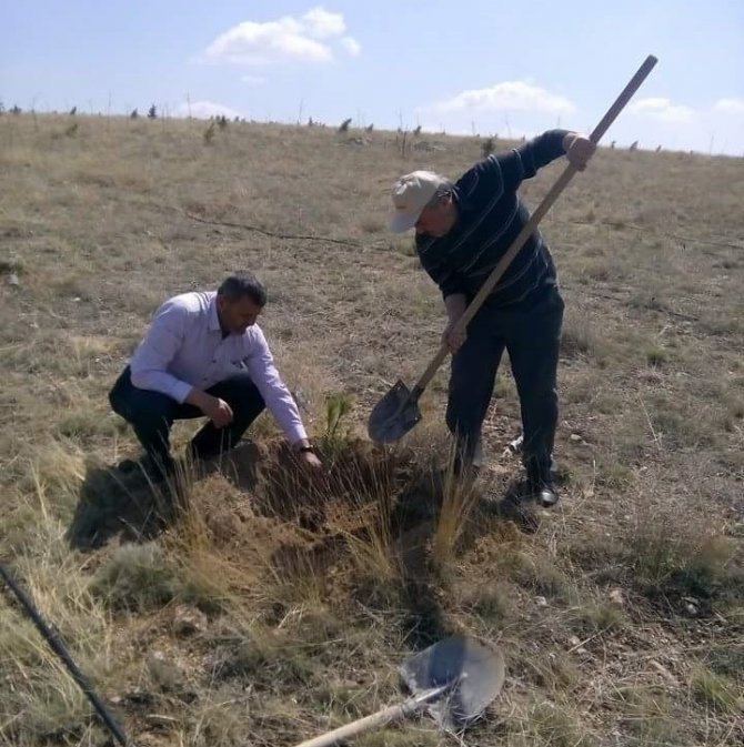 altinekinli-gencler-fidan-dikti-(1).jpg