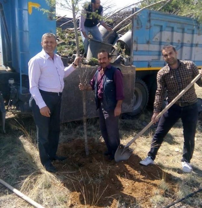 altinekinli-gencler-fidan-dikti-(2).jpg