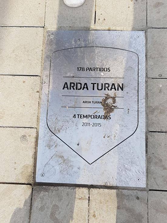 arda-tasi.jpg