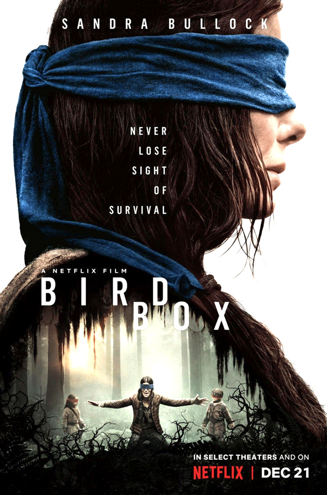 bird-box.png